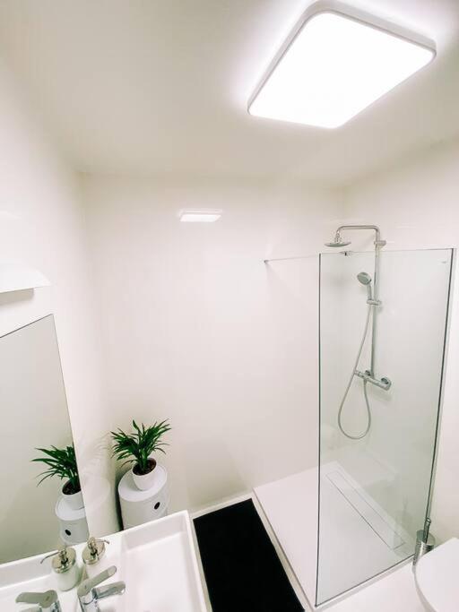 New Studio In Quiet Part Of The City Center Bratislava Eksteriør bilde
